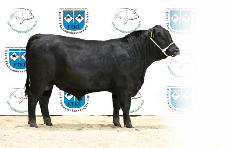 23. PIRGO KENTUCKY