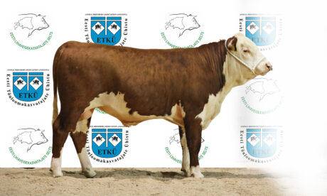 29. FRANC