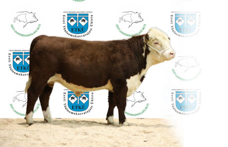 38. KIISA PONTIAC