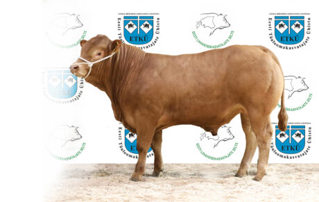 47. LM RUSSELL